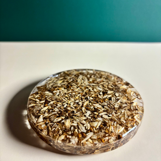 Coasters